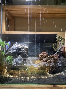 雨音の谷