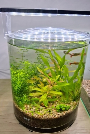 いつも蓋はしていたい。