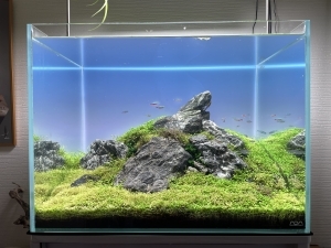 ムシロ瀬