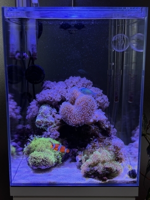 海と暮らす