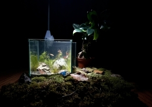 僕が見つけた宝物