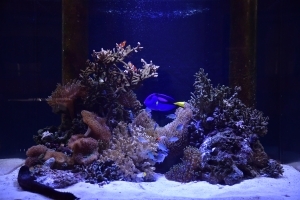 ただ海に巡る