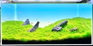 童心の丘