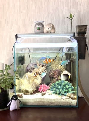 君との思い出