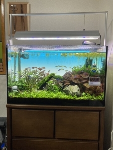 楽園