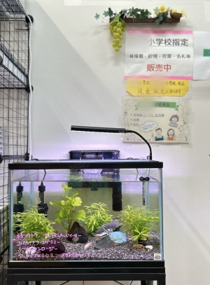 お店の人気者