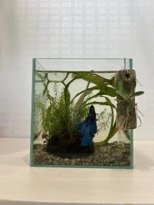 伝説の槍の守護者