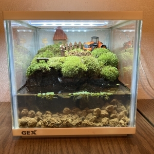 水辺の小さな農場