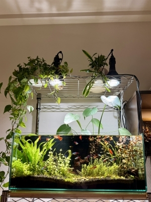 桃源郷