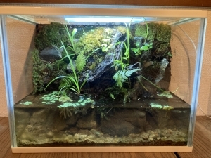 朽ち木の佇む水辺