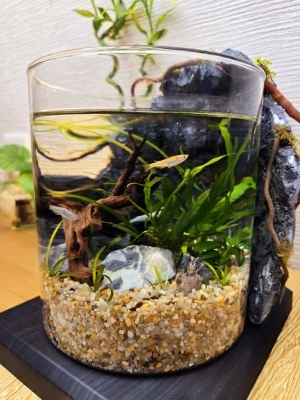 寄り添う