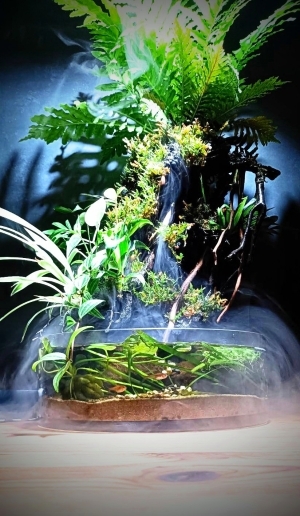 Desktop Jungle