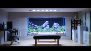 巨大水槽のある部屋
