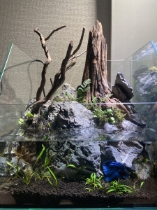 蒼天絶壁