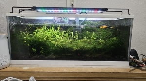 玄関置配
