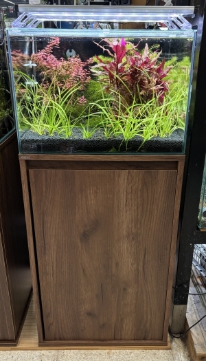 クリムゾンガーデン