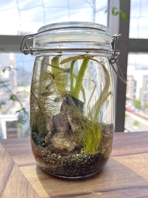 多摩川の一角