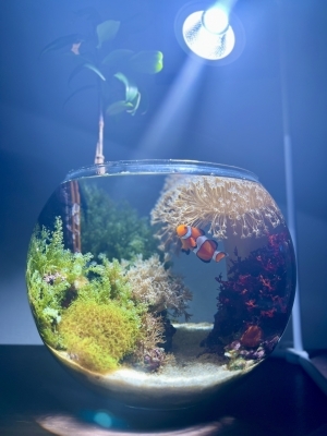 海の雫