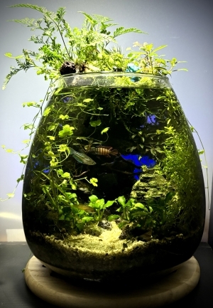 Bottle Cave