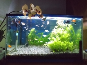 ３代そろって元気です