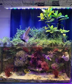 海水エコトーンの世界