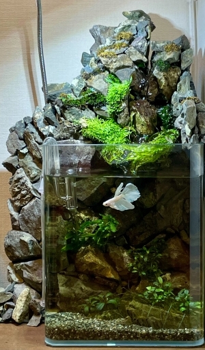 水神の舞う清潭