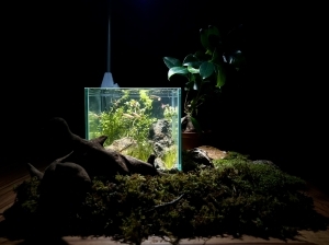 ちょっとひと息