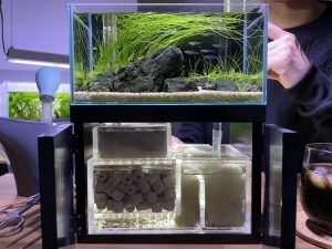 受賞作品発表｜GEX アクア レイアウトコンテスト 2024｜ジェックス株式会社