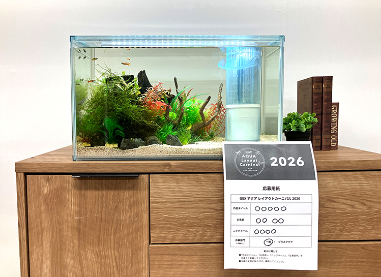 水槽の正面に応募用紙を貼り付けた画像イメージ