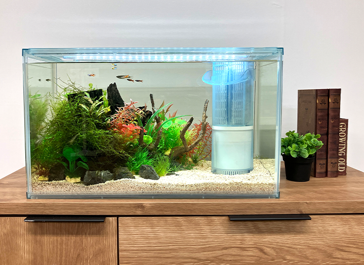 水槽正面から撮影した画像