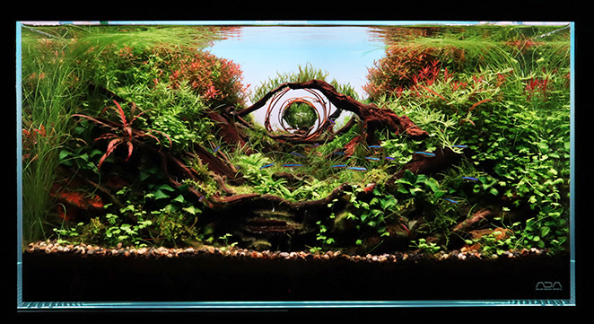 アーティスティック賞