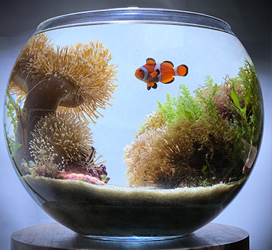 フォトジェニック賞