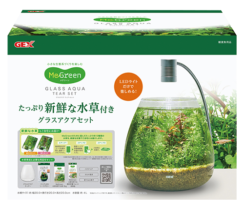 MeGreen 新鮮な水草付き グラスアクアティアーセット